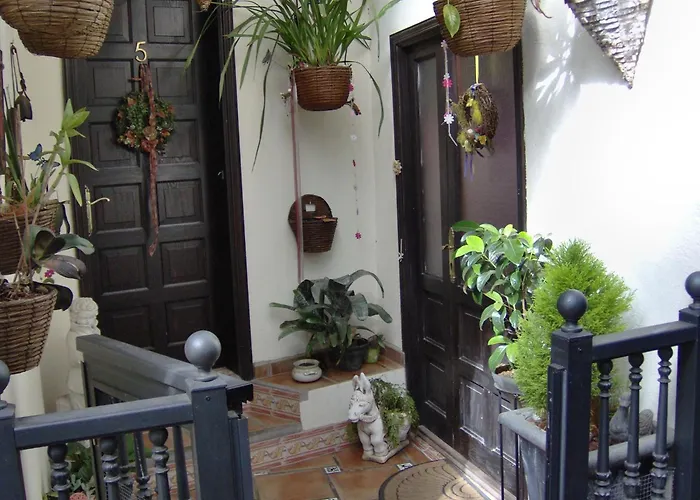 To The Street With Big Kitchen Icod De Los Vinos
