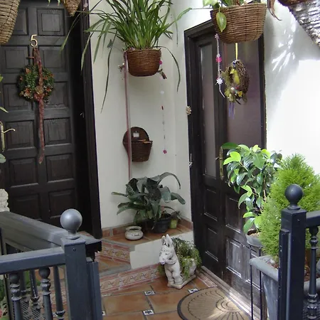 To The Street With Big Kitchen Icod De Los Vinos