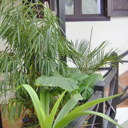 To The Street With Big Kitchen *