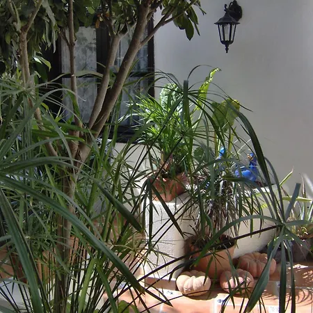 To The Street With Big Kitchen Icod De Los Vinos