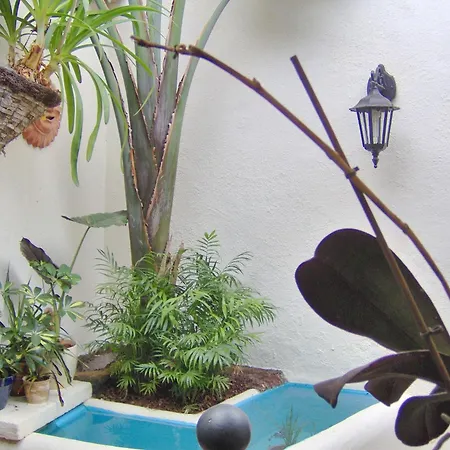 To The Street With Big Kitchen