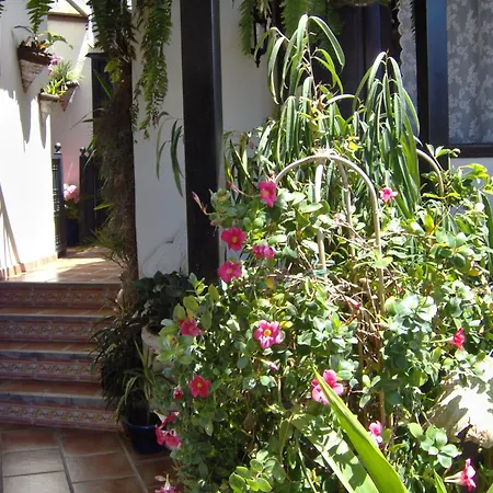 To The Street With Big Kitchen Lejlighed Icod De Los Vinos